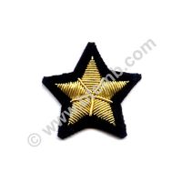 Five Point Star